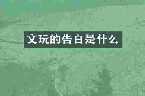 文玩的告白是什么