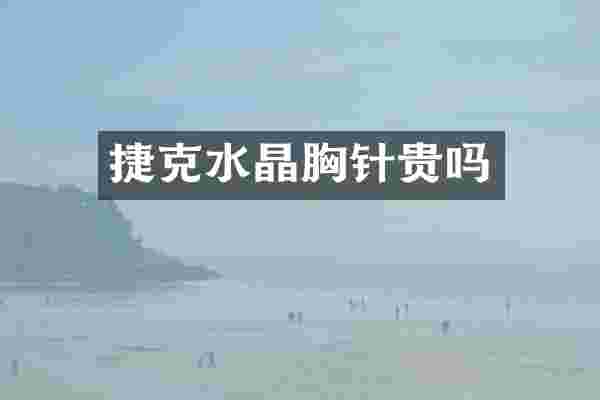 捷克水晶胸针贵吗