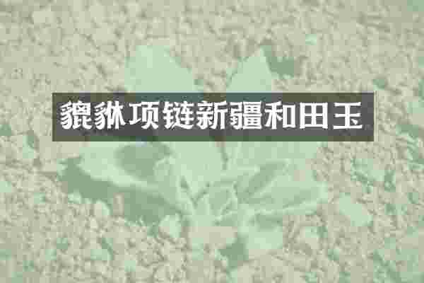 貔貅项链新疆和田玉