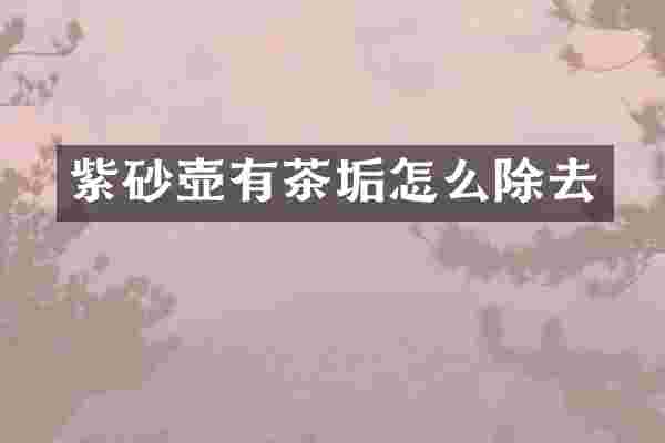 紫砂壶有茶垢怎么除去