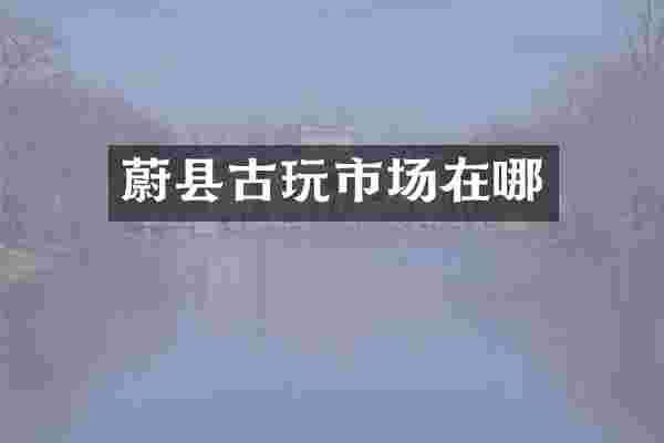 蔚县古玩市场在哪