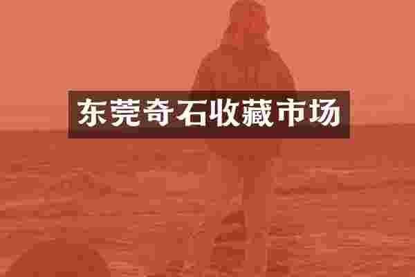东莞奇石收藏市场