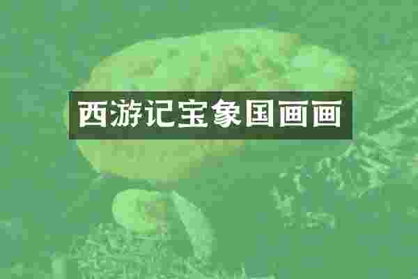 西游记宝象国画画