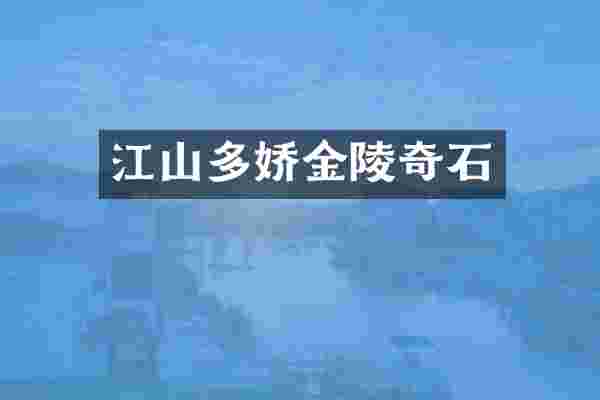 江山多娇金陵奇石