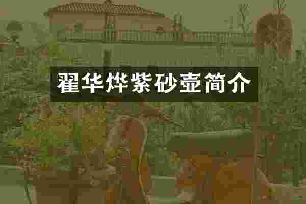 翟华烨紫砂壶简介