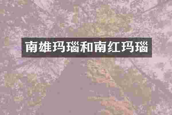 南雄玛瑙和南红玛瑙