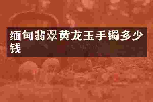 缅甸翡翠黄龙玉手镯多少钱