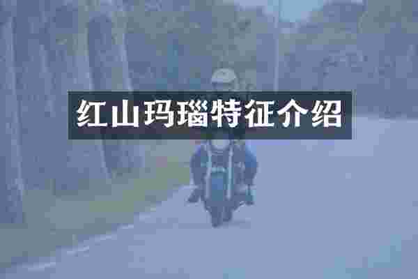 红山玛瑙特征介绍