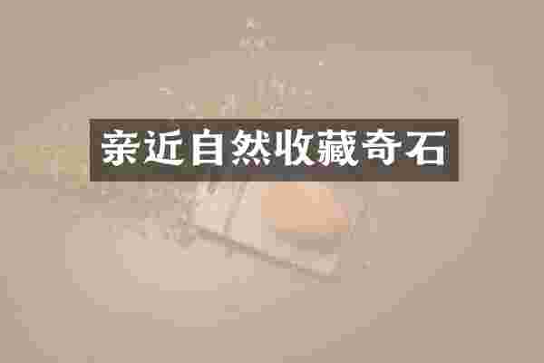 亲近自然收藏奇石