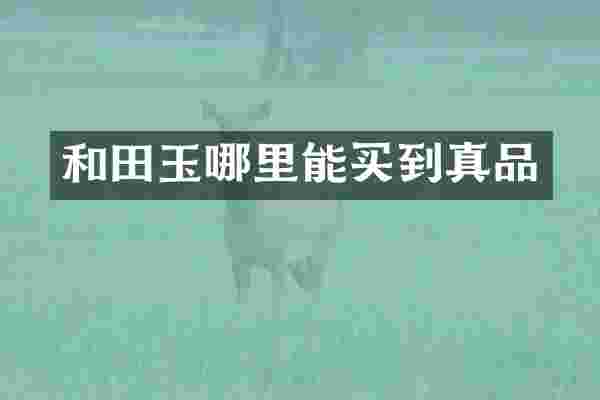 和田玉哪里能买到真品