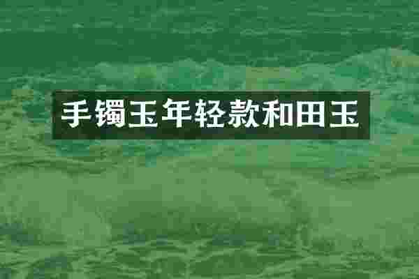 手镯玉年轻款和田玉