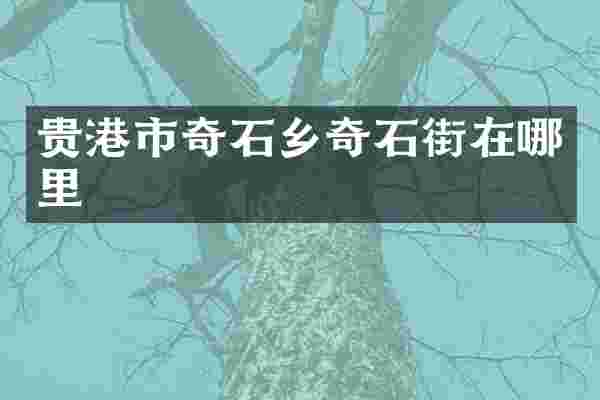 贵港市奇石乡奇石街在哪里