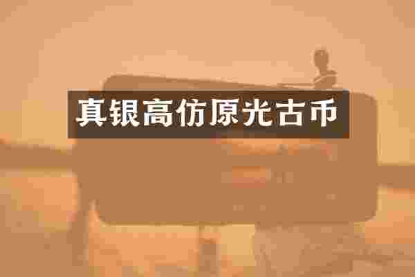真银高仿原光古币