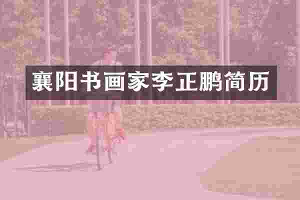 襄阳书画家李正鹏简历