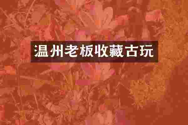 温州老板收藏古玩