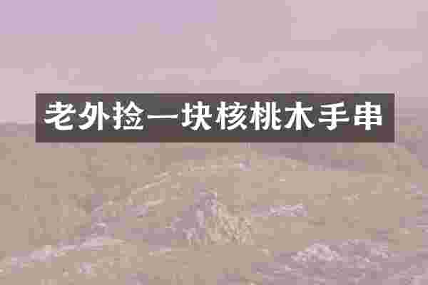 老外捡一块核桃木手串