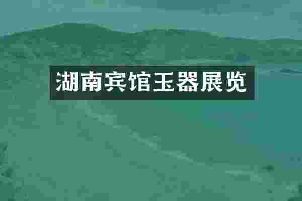 湖南宾馆玉器展览