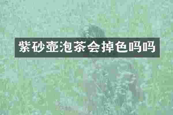 紫砂壶泡茶会掉色吗吗