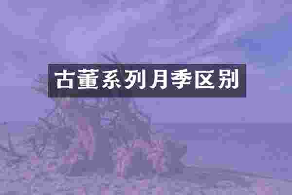 古董系列月季区别