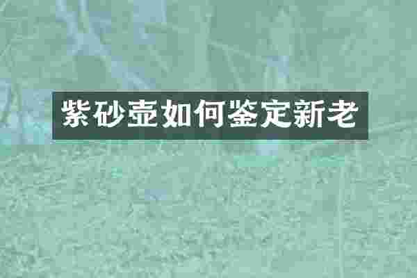 紫砂壶如何鉴定新老