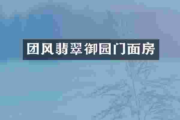 团风翡翠御园门面房