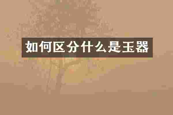 如何区分什么是玉器