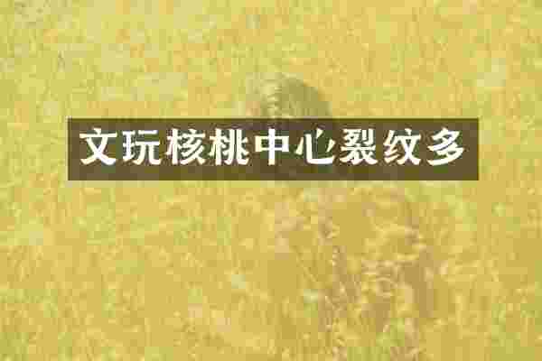 文玩核桃中心裂纹多