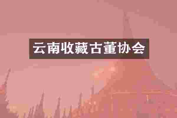 云南收藏古董协会