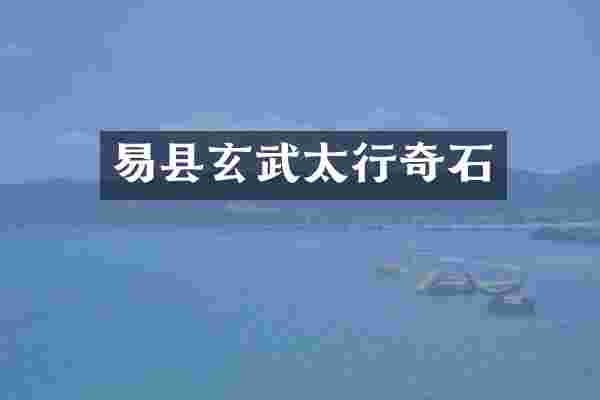 易县玄武太行奇石