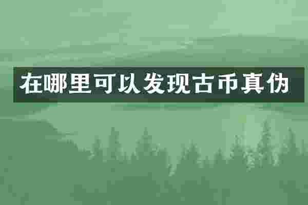 在哪里可以发现古币真伪