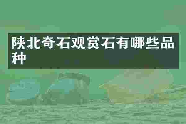 陕北奇石观赏石有哪些品种
