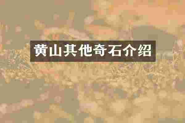 黄山其他奇石介绍