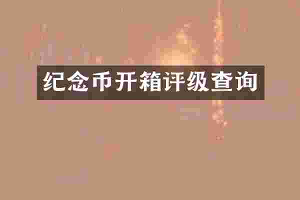 纪念币开箱评级查询
