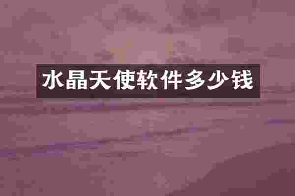 水晶天使软件多少钱