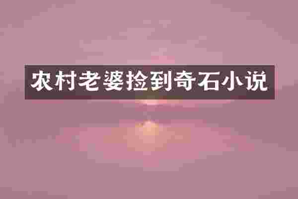 农村老婆捡到奇石小说