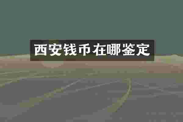 西安钱币在哪鉴定