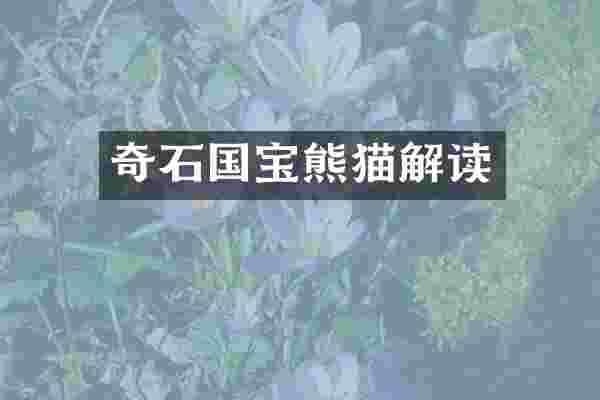 奇石国宝熊猫解读