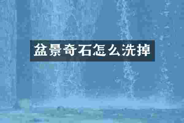 盆景奇石怎么洗掉
