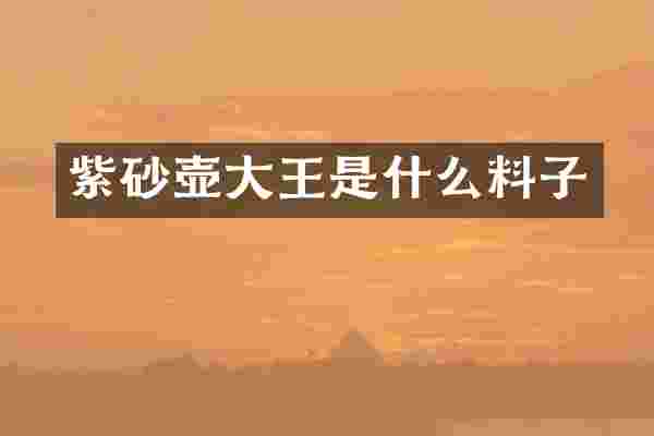 紫砂壶大王是什么料子