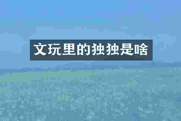 文玩里的独独是啥