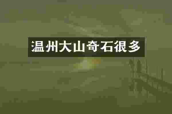 温州大山奇石很多