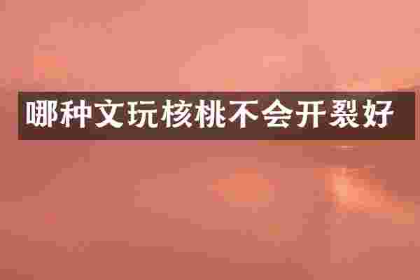哪种文玩核桃不会开裂好