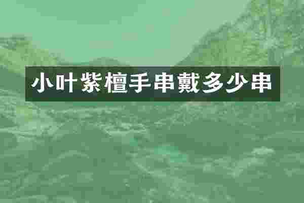 小叶紫檀手串戴多少串