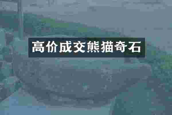 高价成交熊猫奇石