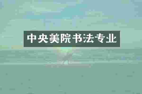 中央美院书法专业