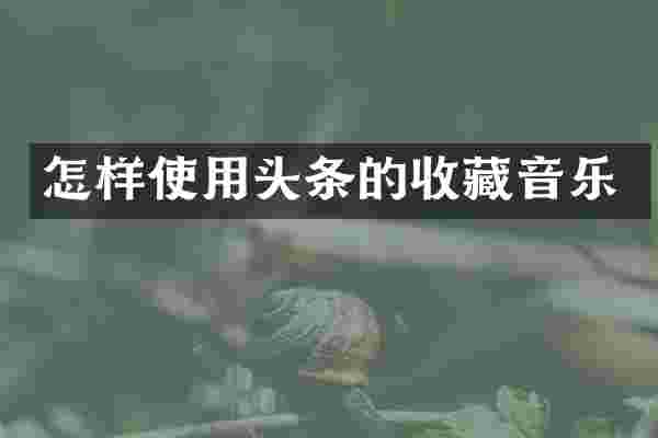怎样使用头条的收藏音乐
