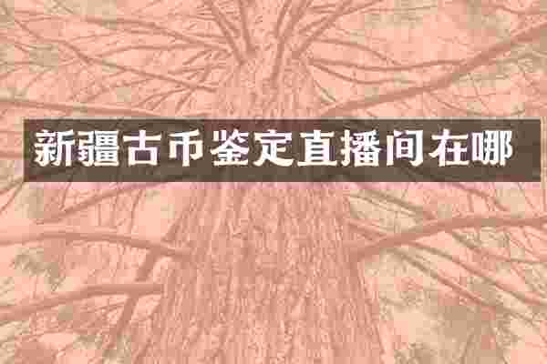 新疆古币鉴定直播间在哪