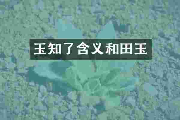 玉知了含义和田玉