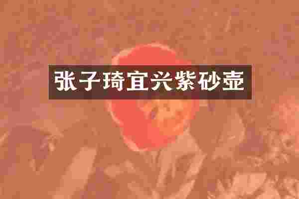 张子琦宜兴紫砂壶