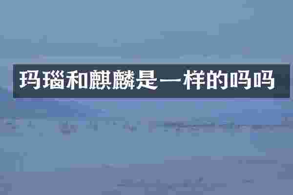 玛瑙和麒麟是一样的吗吗